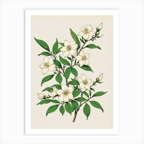 Blossoming Cherry Tree Art Print