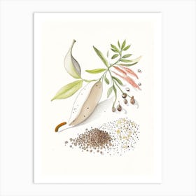 White Pepper Spices And Herbs Pencil Illustration 1 Art Print