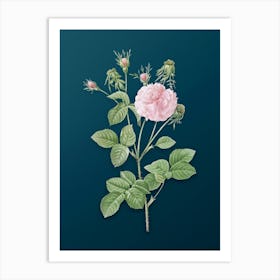 Vintage Pink Agatha Rose Botanical Art on Teal Blue n.0962 Art Print