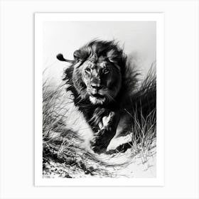 Barbary Lion Charcoal Drawing Hunting 1 Art Print
