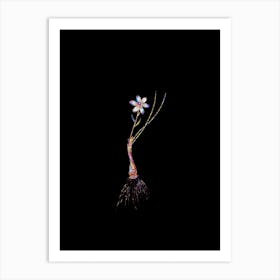 Stained Glass Snowdon Lily Mosaic Botanical Illustration on Black n.0187 Art Print
