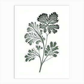 Parsley Herb William Morris Inspired Line Drawing 1 Art Print