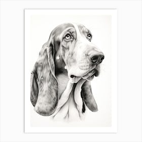 Basset Hound Dog, Line Drawing 4 Art Print
