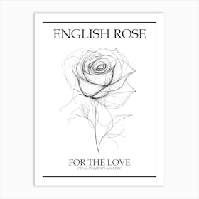 English Rose Black And White Line Drawing 2 Poster Art Print