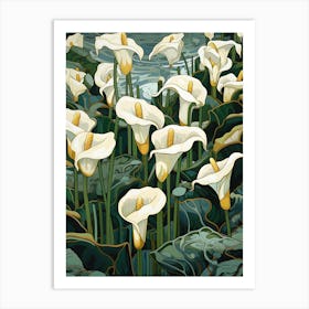 White Calla Lilies 1 Art Print