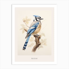 Vintage Bird Drawing Bluejay Poster Art Print