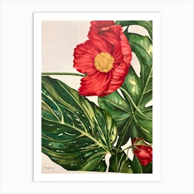 Red Poppy 6 Art Print