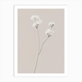 Baby's Breath Wildflower Simplicity Art Print