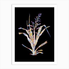 Stained Glass Pitcairnia Bromeliaefolia Mosaic Botanical Illustration on Black n.0124 Art Print