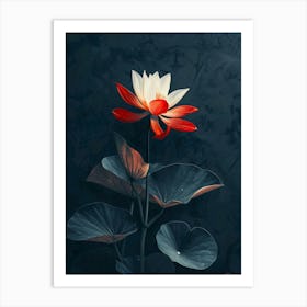 Lotus Flower 2 Art Print