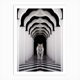 Tiger In A Corridor Art Print