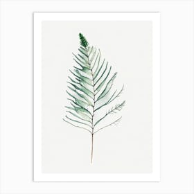 Douglas Fir Needle Leaf Minimalist Watercolour 2 Art Print