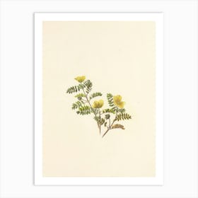 Yellow Flowers 1 Art Print