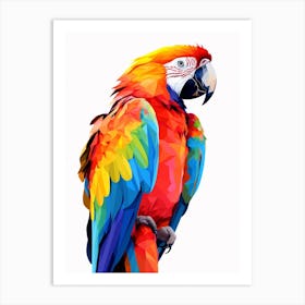 Colourful Geometric Bird Macaw 1 Art Print