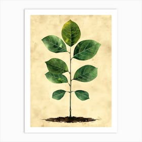 Illustration Of A Tree Art Print