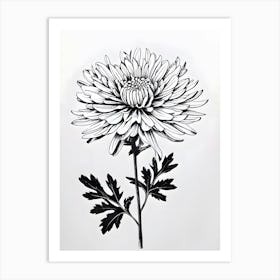 Chrysanthemum 10 Art Print