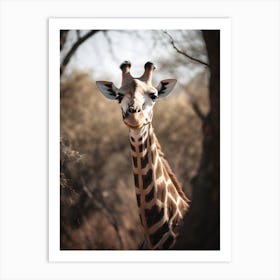 Skeptical Giraffe Art Print