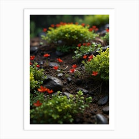 Small Flowers On Rocks Art Print