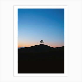 Lone Tree 9 Art Print