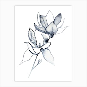 Magnolia 32 Art Print