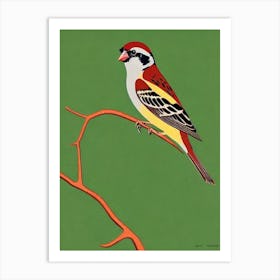 House Sparrow Midcentury Illustration Bird Art Print