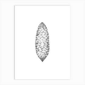 Spruce cone No 87 by Aga Szafranska Art Print