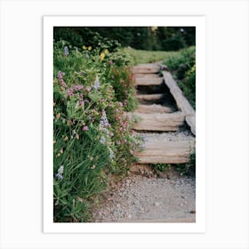 Wildflower Steps Art Print