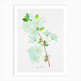 Wild cherry Art Print