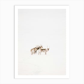 Reindeer In The Snow | Minimal Winter art | Lapland | Sweden | Art Print