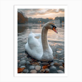 Swan In Water Art Print