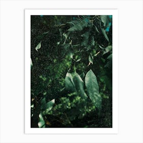 Abstract Greens In The Sun Art Print