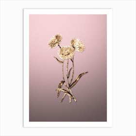 Gold Botanical Helichrysum Flower Branch on Rose Quartz n.2811 Art Print