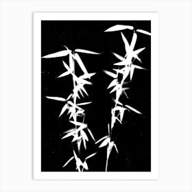 Black white bamboo Art Print