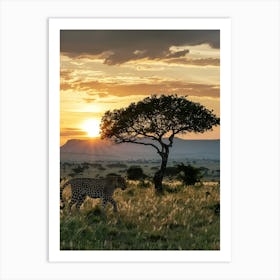 Cheetah At Sunset Art Print