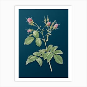 Vintage Evrat's Rose with Crimson Buds Botanical Art on Teal Blue n.0118 Art Print