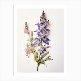 Pressed Flower Botanical Art Veronica Flower 3 Art Print