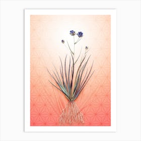 Blue Corn Lily Vintage Botanical in Peach Fuzz Asanoha Star Pattern n.0106 Art Print