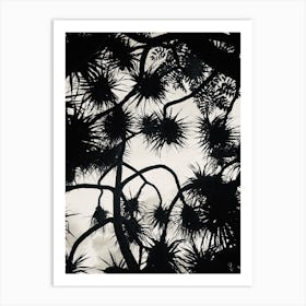 Branches And Shadows Art Print