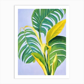 Bird’S Nest Fern Bold Graphic Art Print