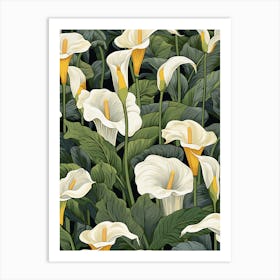 Calla Lily 1 Art Print