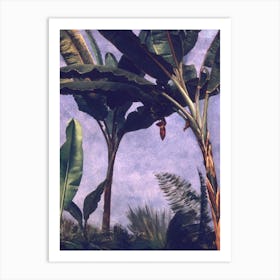 Banana Trees, Albert Bierstadt Art Print