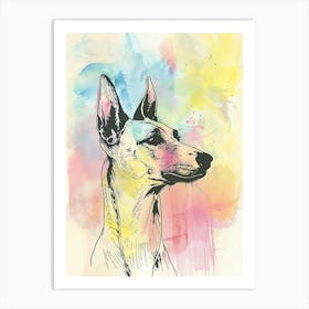 Pastel Watercolour Ibizan Hound Dog Line Illustration 1 Art Print