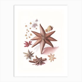 Star Anise Spices And Herbs Pencil Illustration 1 Art Print