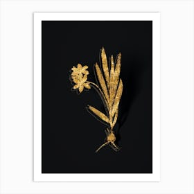 Vintage Gladiolus Plicatus Botanical in Gold on Black n.0288 Art Print