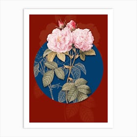 Vintage Botanical Italian Damask Rose on Circle Blue on Red n.0217 Art Print