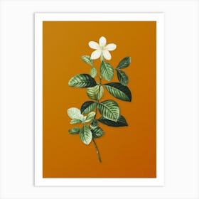Vintage Gardenia Botanical on Sunset Orange n.0429 Art Print