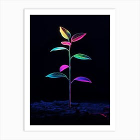 Plant In The Dark 4 Art Print