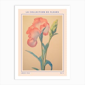 Sweet Pea 2 French Flower Botanical Poster Art Print