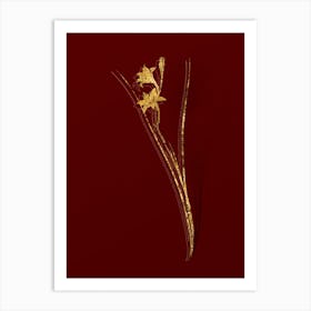 Vintage Gladiolus Botanical in Gold on Red n.0106 Art Print