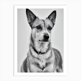 Berger Picard B&W Pencil Dog Art Print